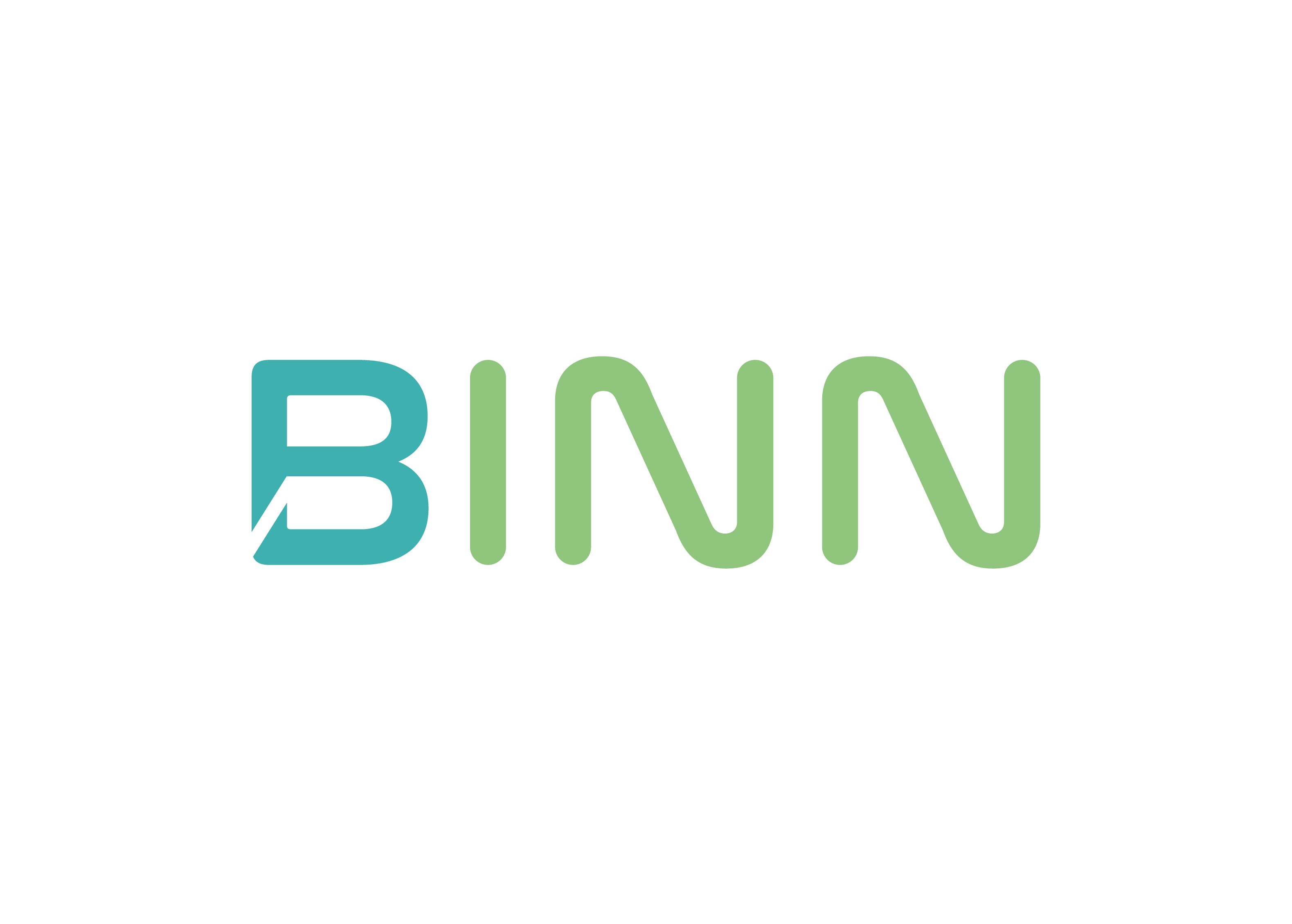 BINN Logo